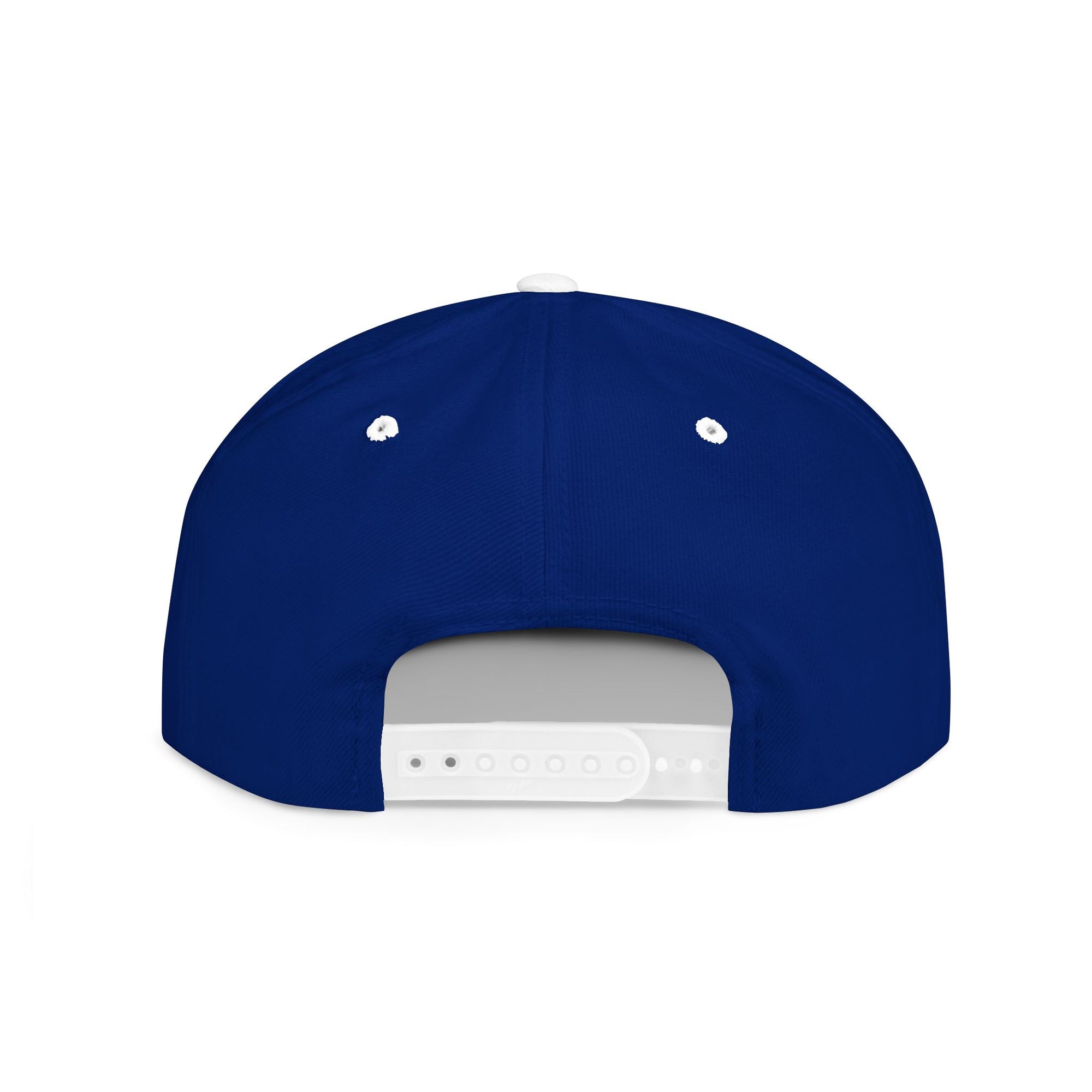 Delta Smokeys Flat Bill Snapback Hat - Where's the Couch?