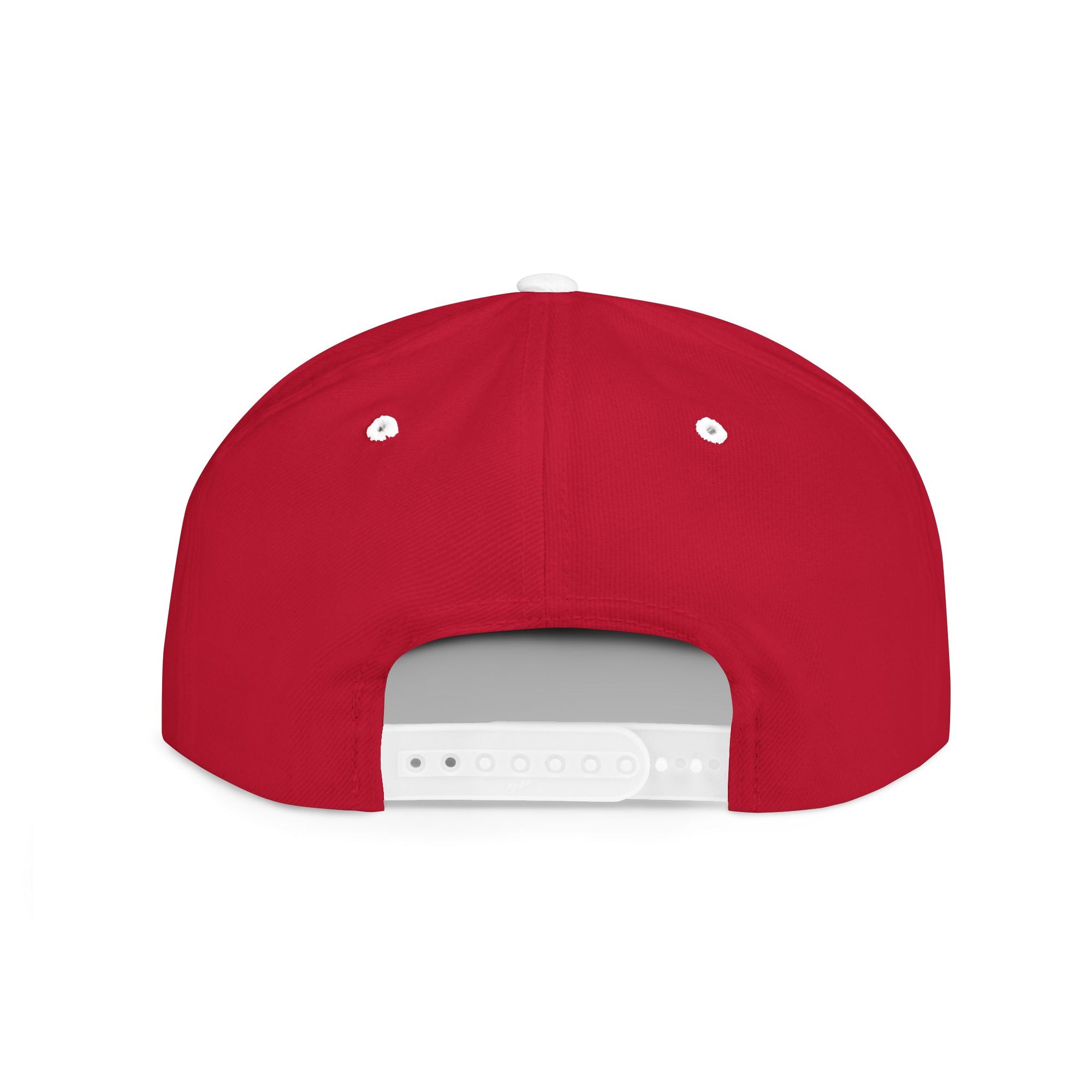 Delta Smokeys Flat Bill Snapback Hat - Where's the Couch?